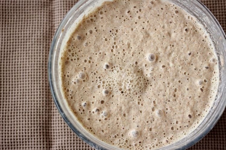 Quick Sourdough Starter for Bread