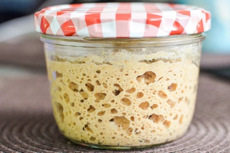Russian Sourdough Starter for Bread