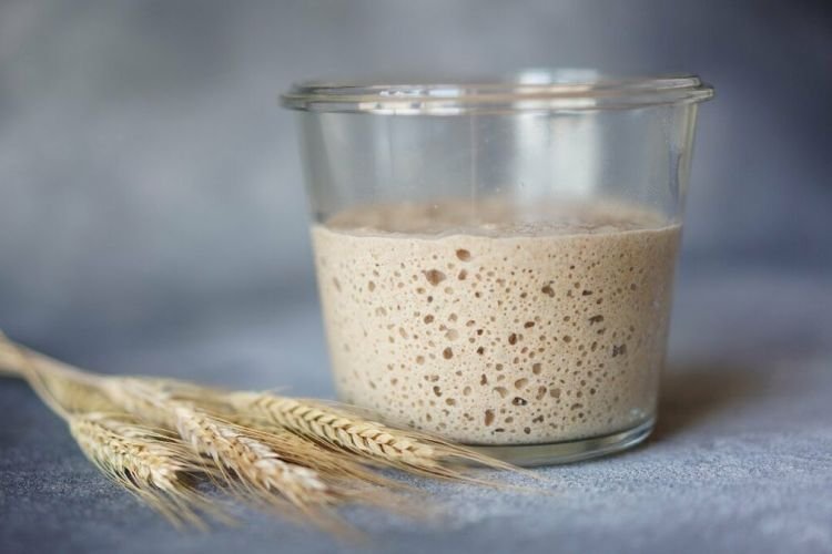 Wheat Sourdough Starter for Bread with Raisins