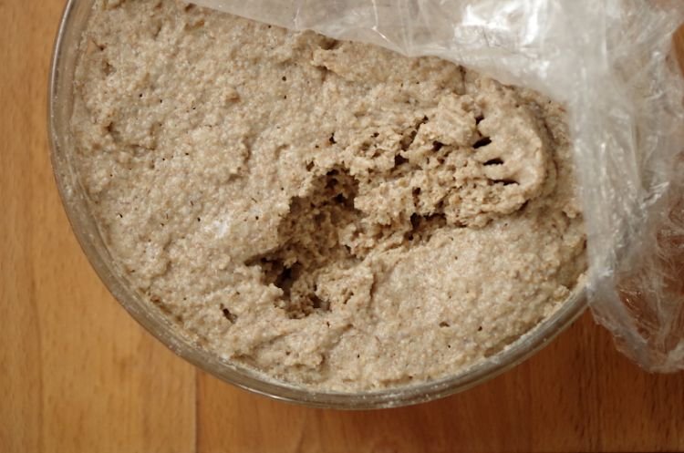Rye Malt Sourdough Starter for Bread