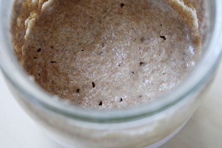 Sourdough Starter for Bread from Soaked Apple Brine
