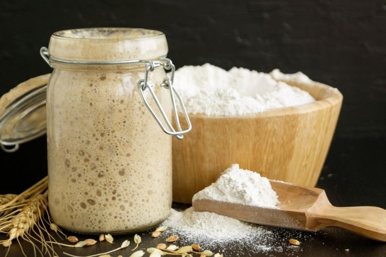 Lactic Acid Sourdough Starter for Bread
