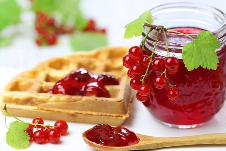 No-Cook Redcurrant Jelly