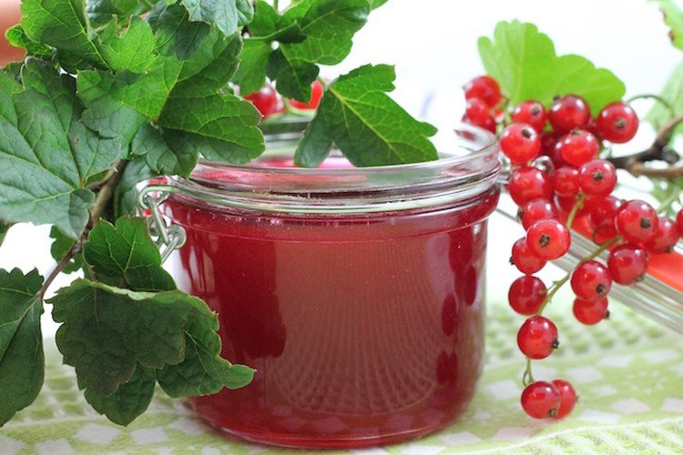 Redcurrant Jelly with Agar-Agar