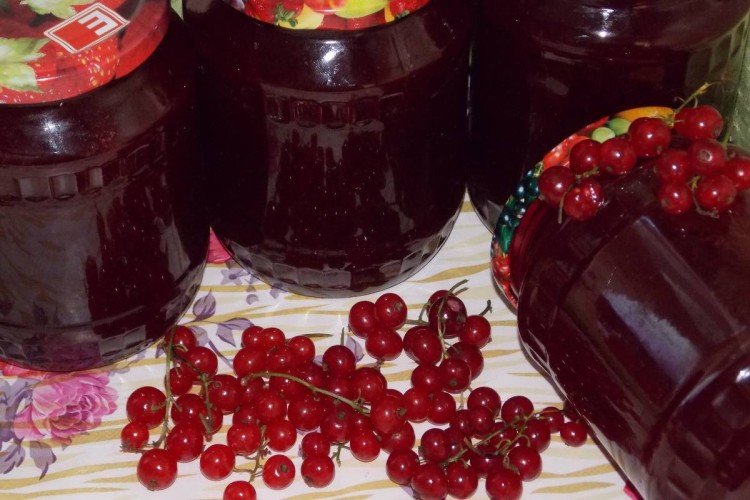 Redcurrant Jelly with Stems