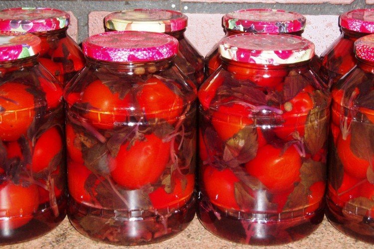 Tomates con albahaca para el invierno