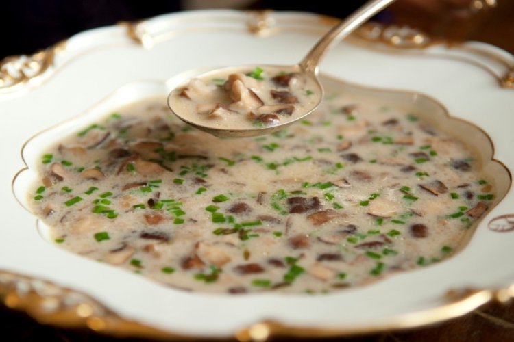 Pilzsauce mit Honigpilzen
