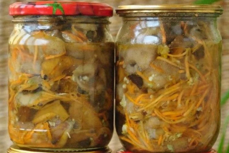 Pilzsuppe mit Honigpilzen für den Winter