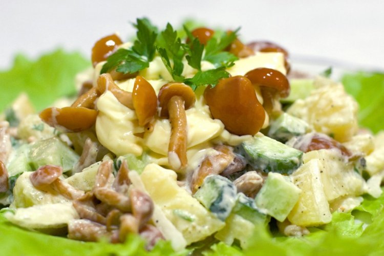 Ensalada de pollo ahumado, setas encurtidas y pepinos frescos
