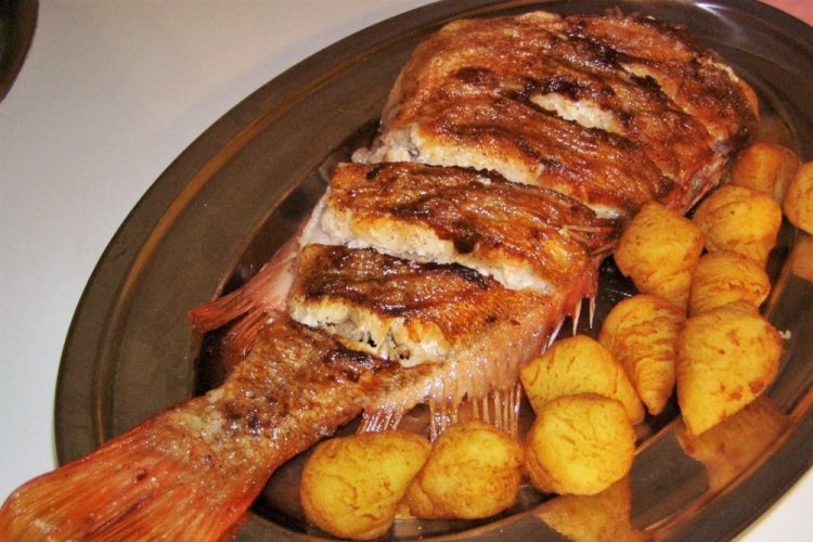 Rotbarsch in Sojasauce gebacken