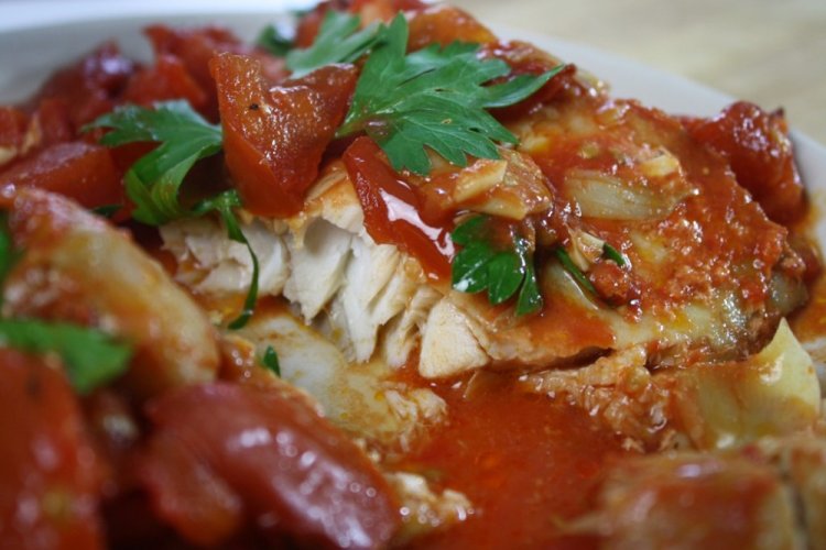 Rotbarsch in Tomatensauce