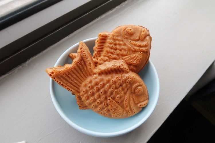 Taiyaki mit Lachs und Frischkäse
