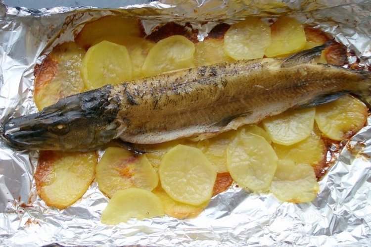 Pike with Potatoes in the Oven