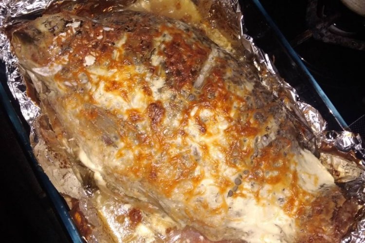 Karpfen in Sauerrahm-Honig-Marinade