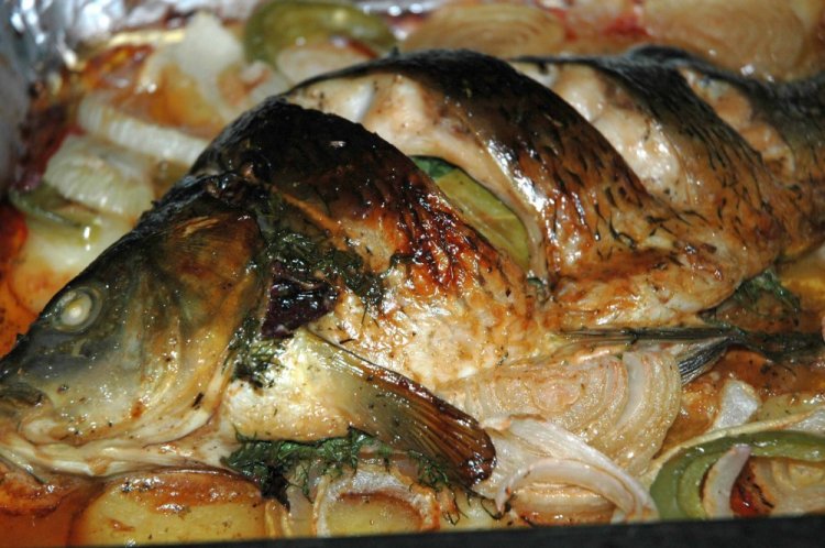Karpfen mit Zucchini aus dem Ofen