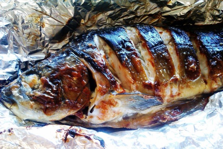 Karpfen mit Äpfeln im Ofen
