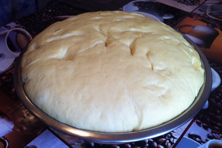 Sour Milk Dough for Pies