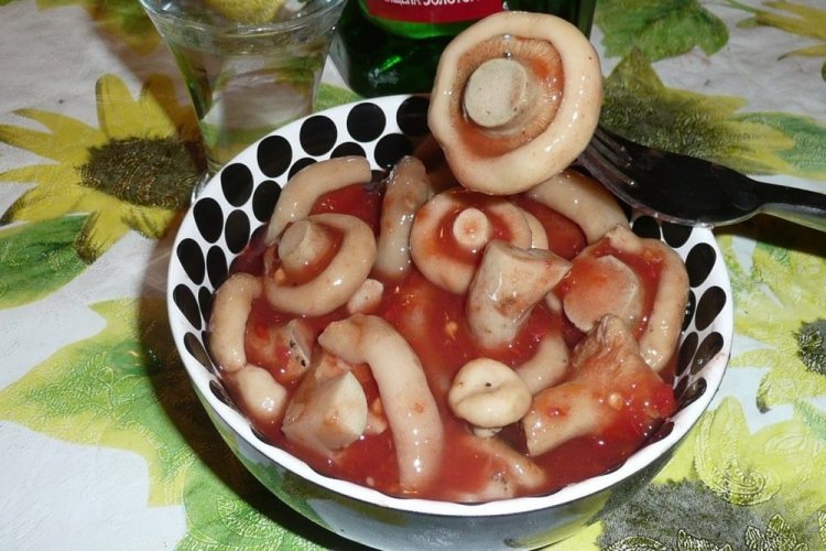 Eingelegte Milchlinge mit Gemüse