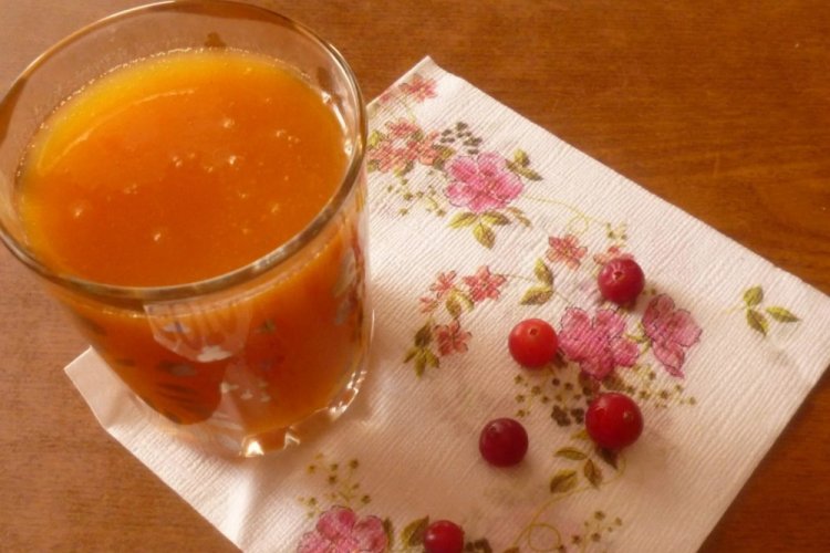 Pumpkin Juice with Cranberries