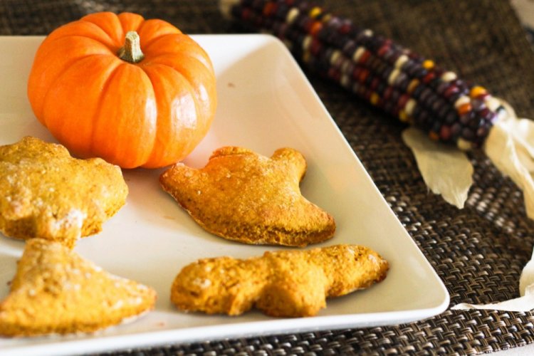 Pumpkin and Cottage Cheese Cookies
