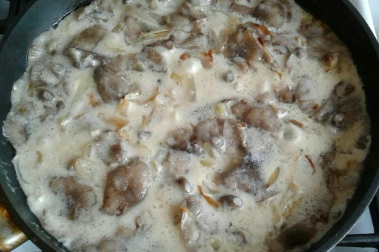Gebratene Honigpilze unter Käse