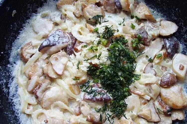 Gebratene Honigpilze mit Sahne