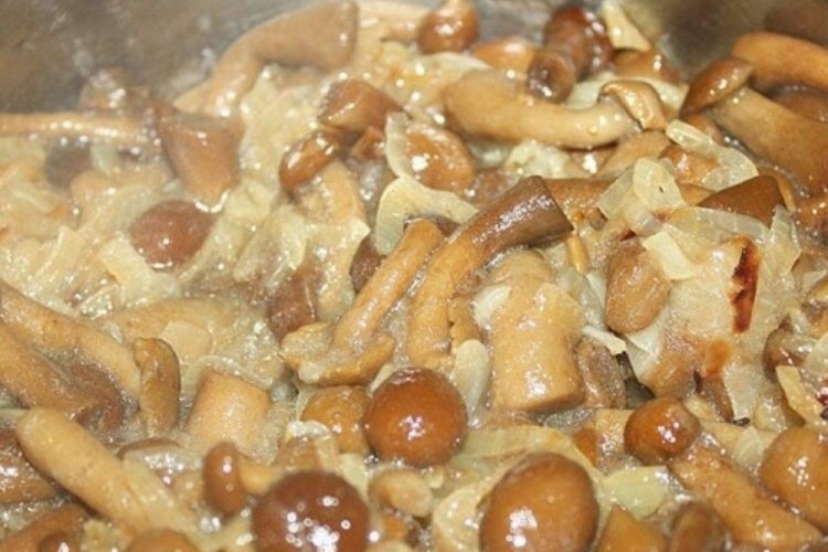 Gebratene Honigpilze mit Mayonnaise