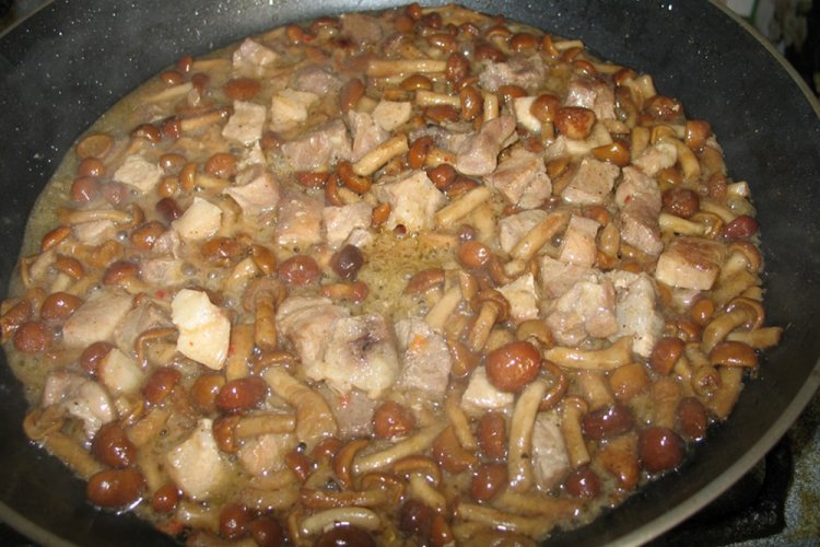 Gebratene Honigpilze mit Fleisch