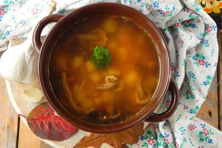 Sopa de setas de miel frescas