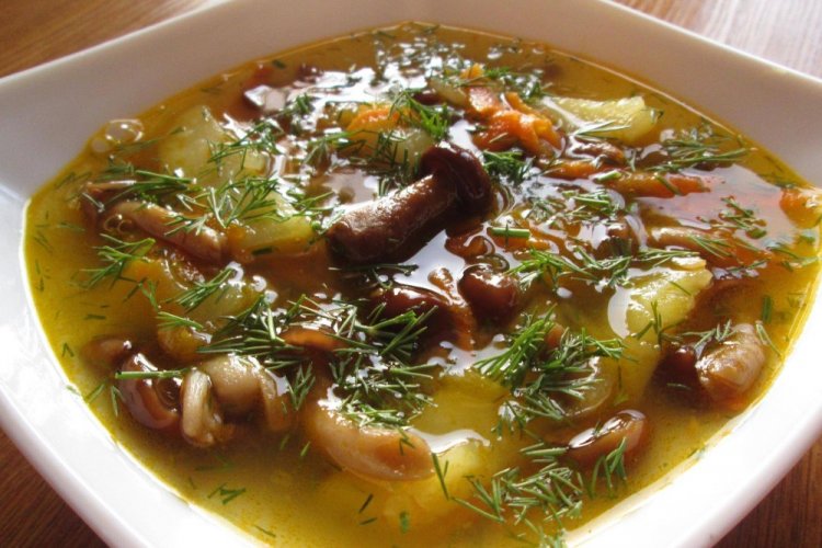 Sopa de setas de miel encurtidas con salchicha