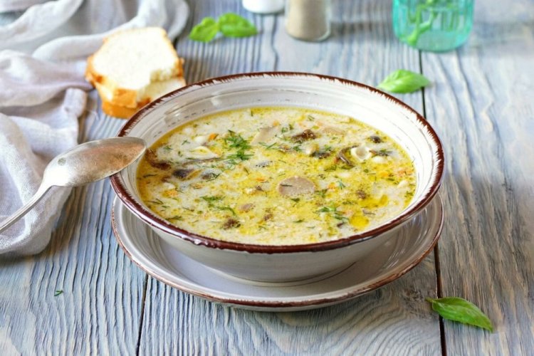 Sopa de setas de miel con queso procesado