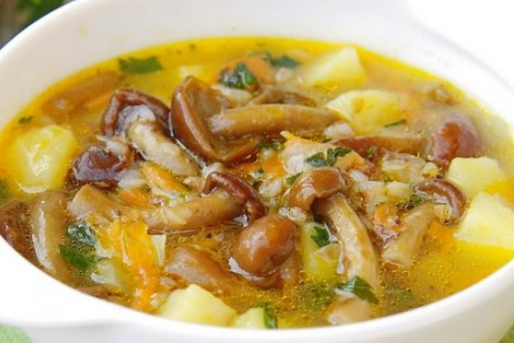 Sopa de setas de miel con arroz