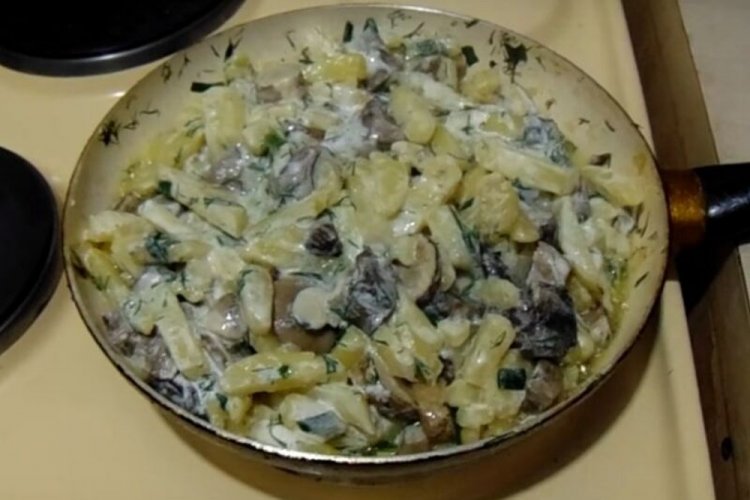 Fried Potatoes with Honey Mushrooms in Cream