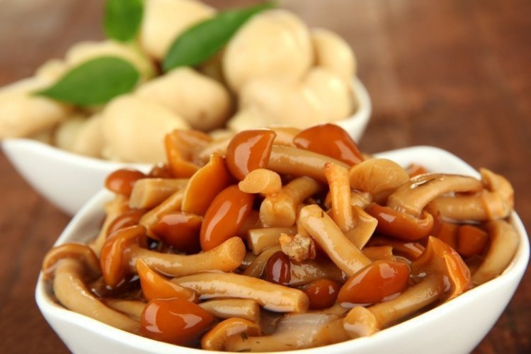 Marinierte Honigpilze mit Essig und Knoblauch