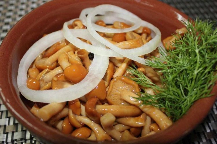 Marinierte Honigpilze mit Zwiebeln
