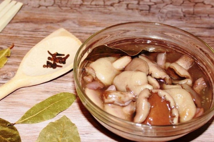 Marinierte Butterpilze mit Meerrettich