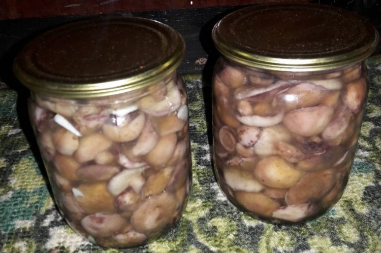 Marinierte Butterpilze mit Pflanzenöl