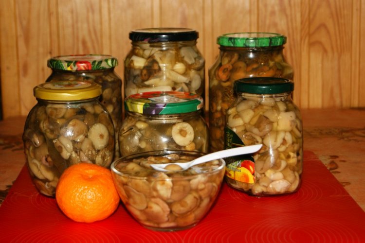 Marinierte Butterpilze mit Zitronensäure