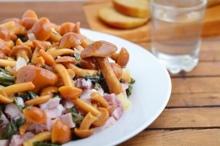 Salat mit eingelegten Honigpilzen und Kartoffeln