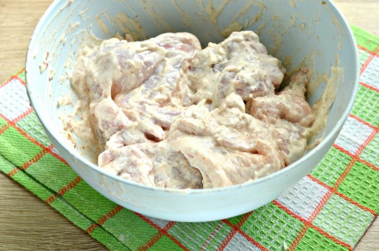 Adobo con mayonesa para pollo