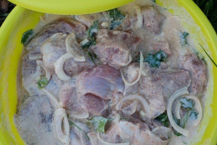 Adobo de cebolla para brochetas de pollo
