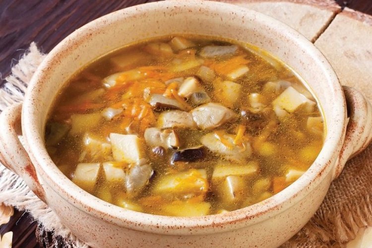 Sopa de setas porcini