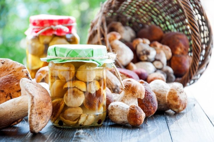 Setas porcini encurtidas para el invierno