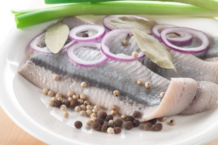 Heringsfilet in Öl