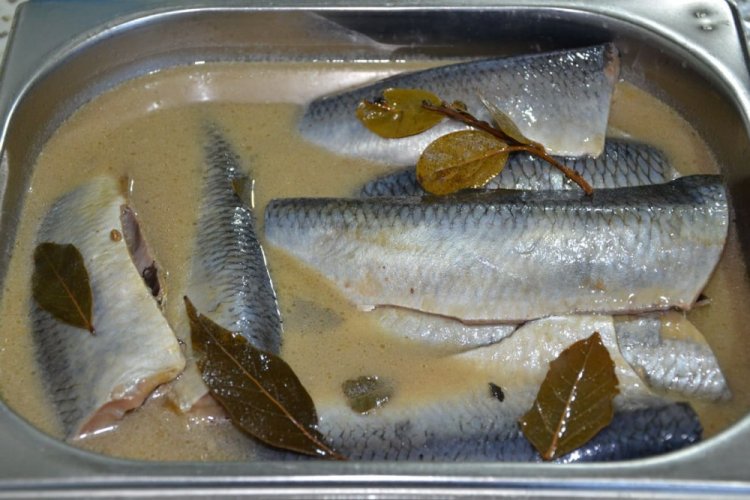 Gesalzener Hering mit trockenem Senf