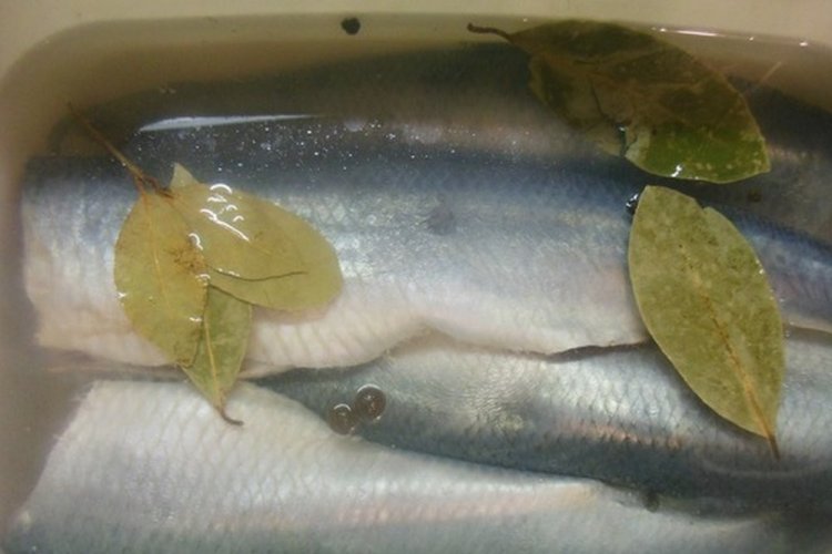 Gesalzener Hering in Essig