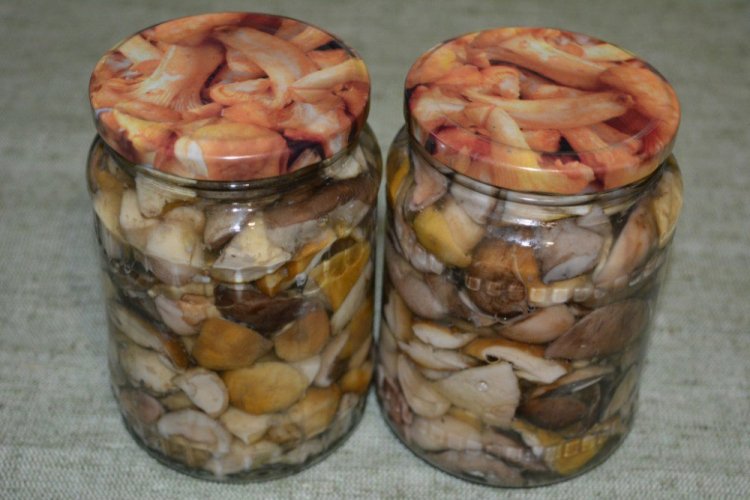 Champiñones encurtidos en frascos para el invierno