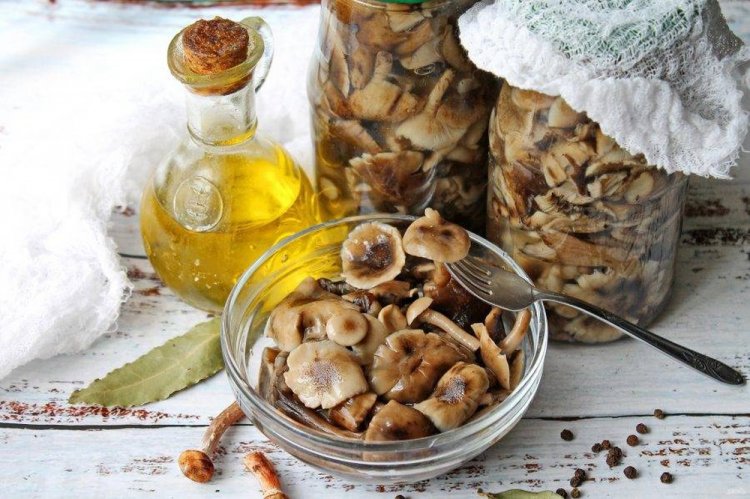 Champiñones encurtidos con aceite para el invierno