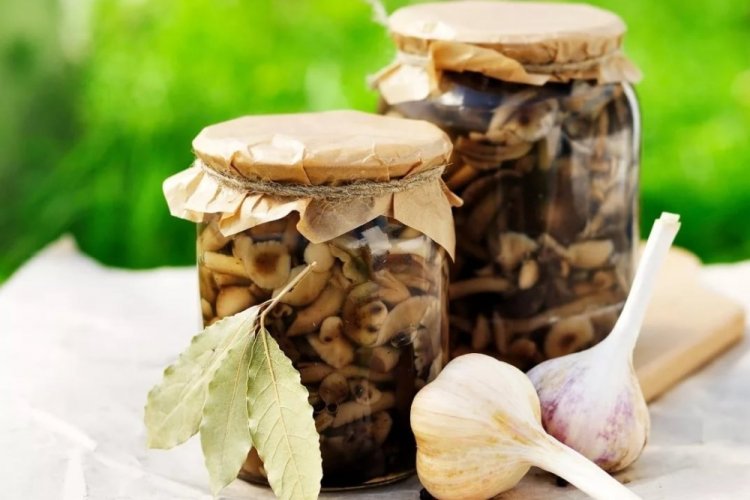 Champiñones encurtidos con vino para el invierno