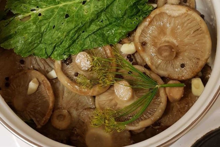 Champiñones encurtidos al estilo frío
